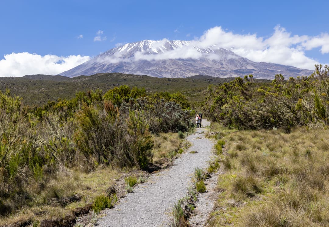 Northern Circuit Route Mount Kilimanjaro